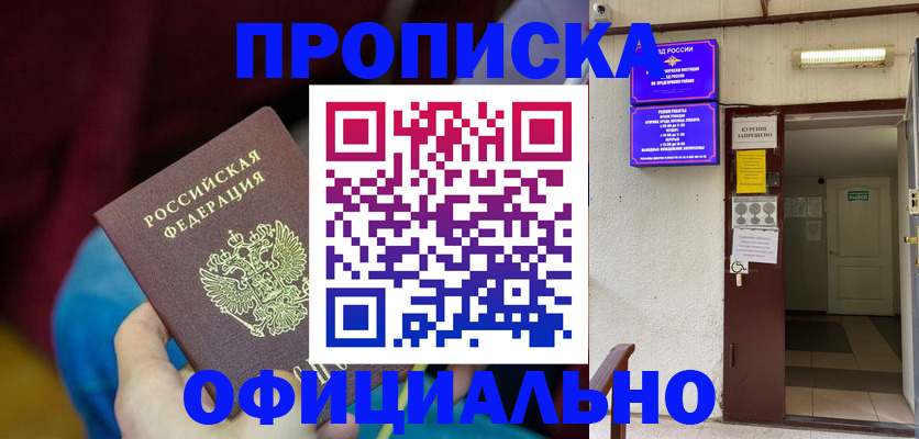 временная регистрация адрес в Дальнегорске